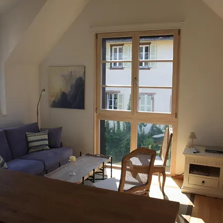 Petite Venise كولمار