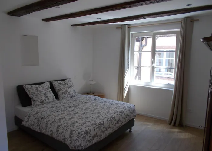 Petite Venise Apartament Colmar